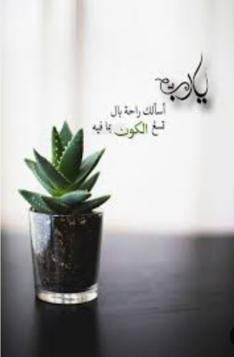 يارب  واستجابه لكل دعاء ...🤲