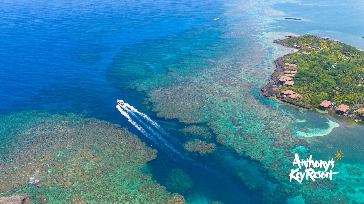 Anthony's Key Resort tweet media