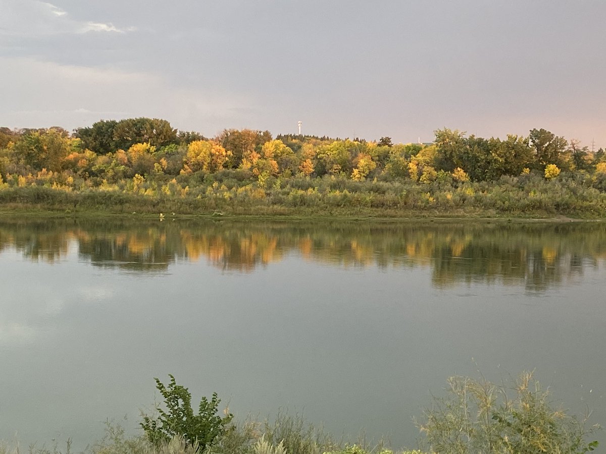 Lisa Smith tweet media