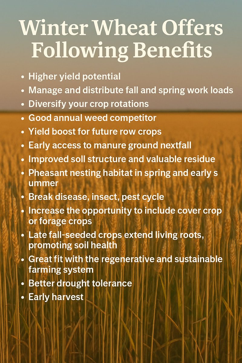 Keep your ground covered in the fall, and one way to do that is by having winter wheat in your crop rotation @wheastsd <a href="/SDSHCoalition/">SDSHCoalition</a> <a href="/mnwheat/">MN Wheat Growers</a> <a href="/USDA/">Dept. of Agriculture</a>  #benefits of growing winter wheat.....
