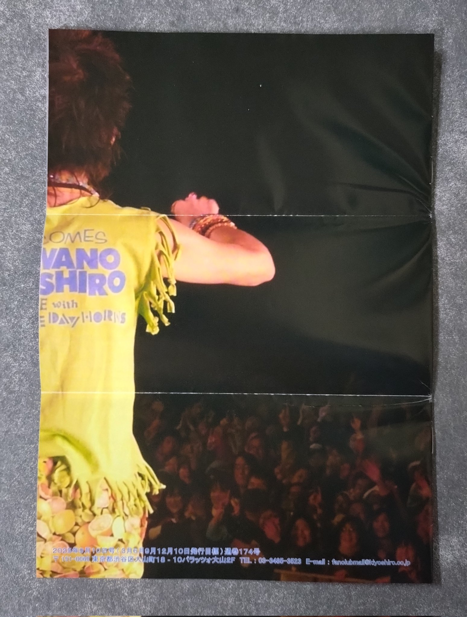 忌野清志郎ふぁんくらぶ会報　どんちゃん画報　71冊 どんちゃん画報です。 忌野清志郎ふぁんくらぶ会報 どんちゃん画報 71冊 どんちゃん画