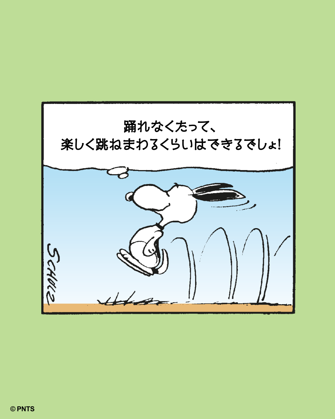 ☆snoopy☆様♡ご確認用ページです おかいものSNOOPY