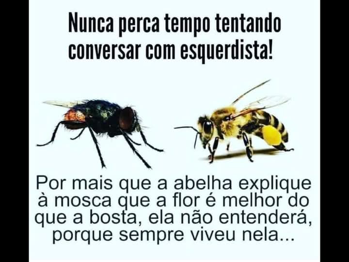 <a href="/TumultoBR/">Tumulto BR</a>