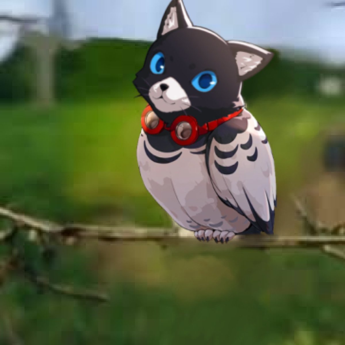 meowl