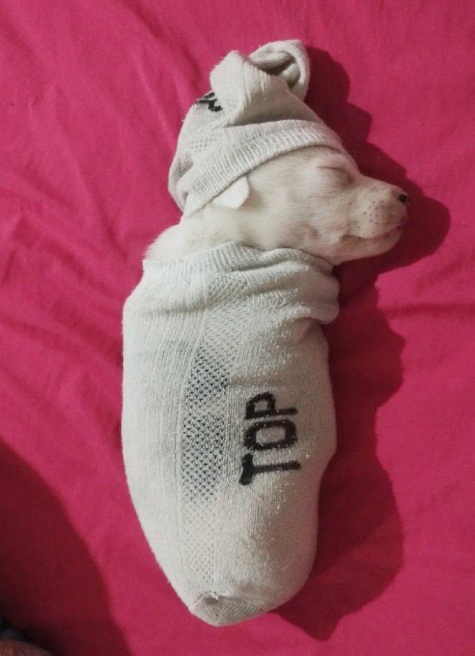 grimespresa's tweet image. que tal se todos fossemos dormir ...#fui