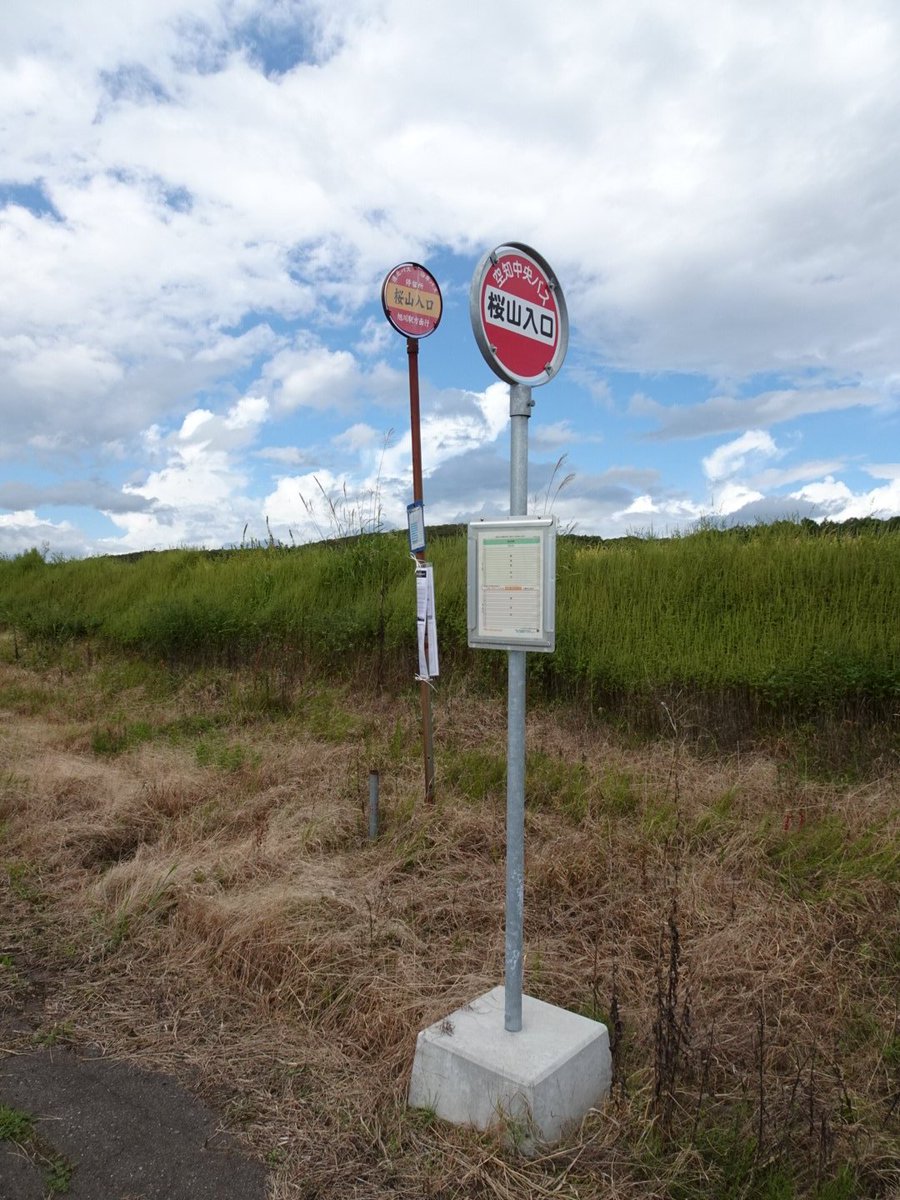 真作 山本丘人 「 冬山 」 8号 日本画 共シール 黄色袋 タトウ