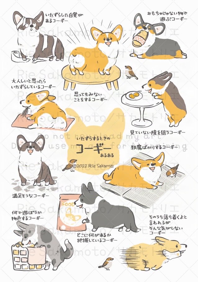#三連休はフォロワーさんが増えるらしい
コーギーあるある描いてます 