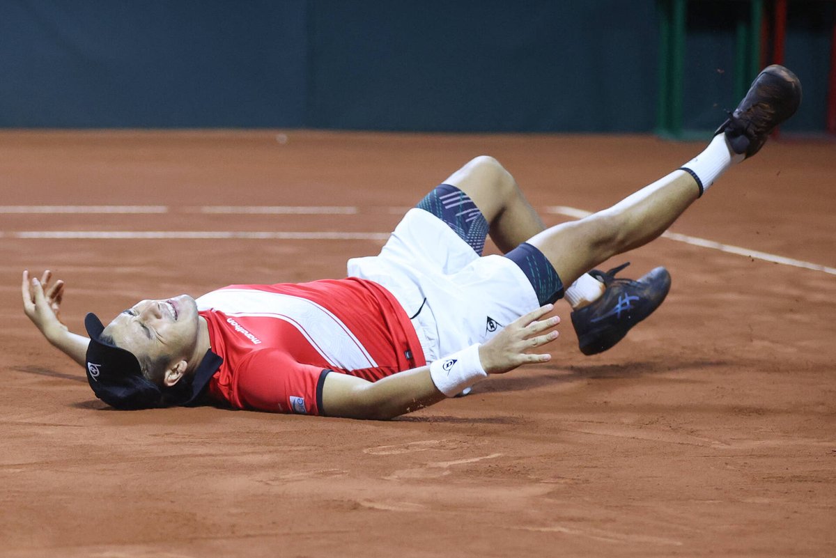 Copa Davis tweet media