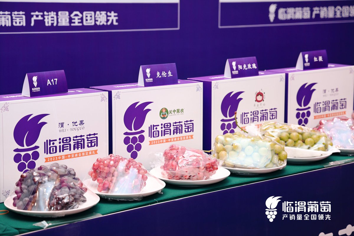 Thisisweinan's tweet photo. 🍇 Big news from China’s “Hometown of Grapes”!
The 1st #Linwei Grape Distributors Conference &amp; 2025 Fair just wrapped up in Weinan.
✨ Highlights:
🚀 New slogan: “Linwei Grapes, Leading in China”
🤝 500+ experts &amp; buyers
🍷 Fresh grapes, wine &amp; more
📦 200+ on-site orders placed https://t.co/sgadA1DDv1