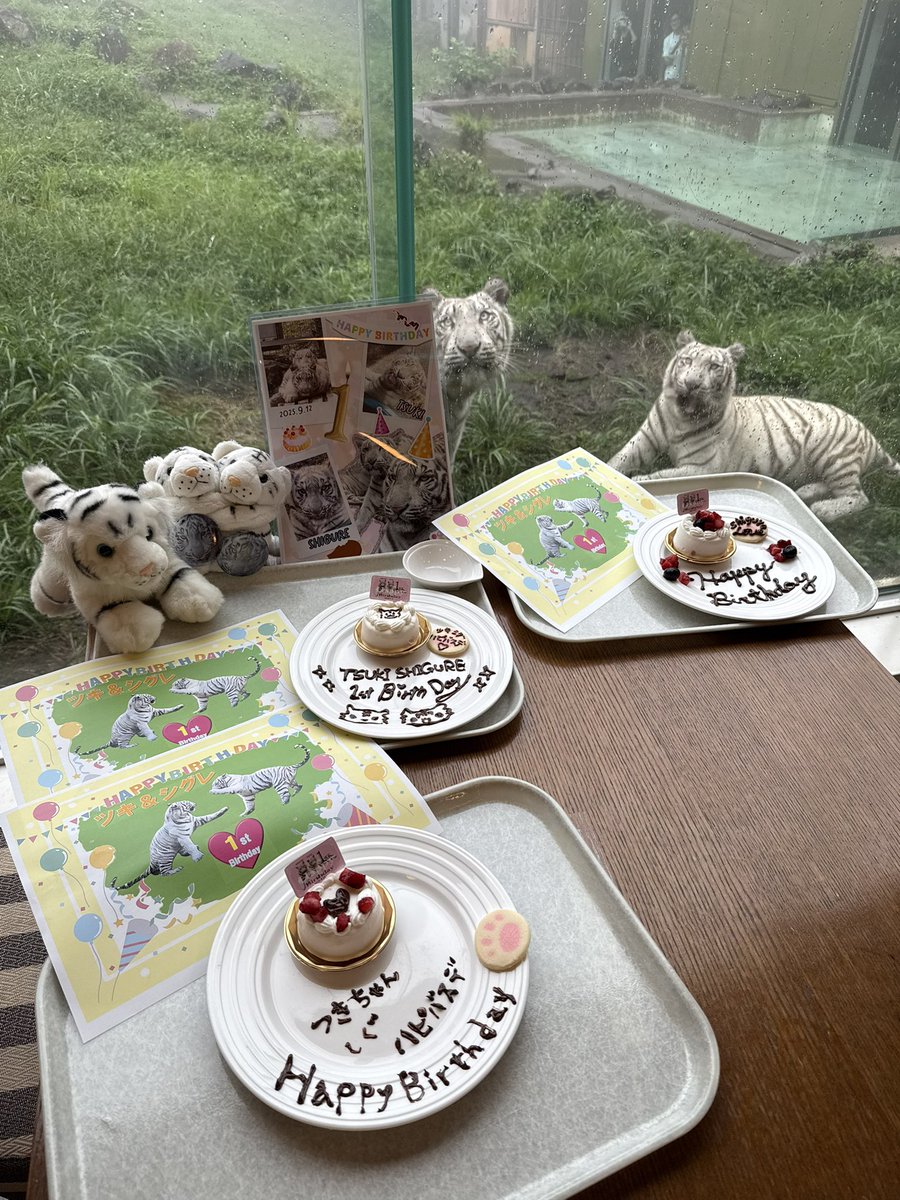 お誕生日ケーキでツキシグも一緒に映ってくれた✨可愛いー😆