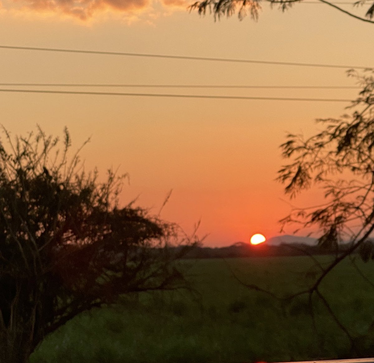 <a href="/TXNLATAMFC/">TXNLATAM_🍋</a> 💛

NATURE WITH XUNING
#TXNBirthdayWeek2025