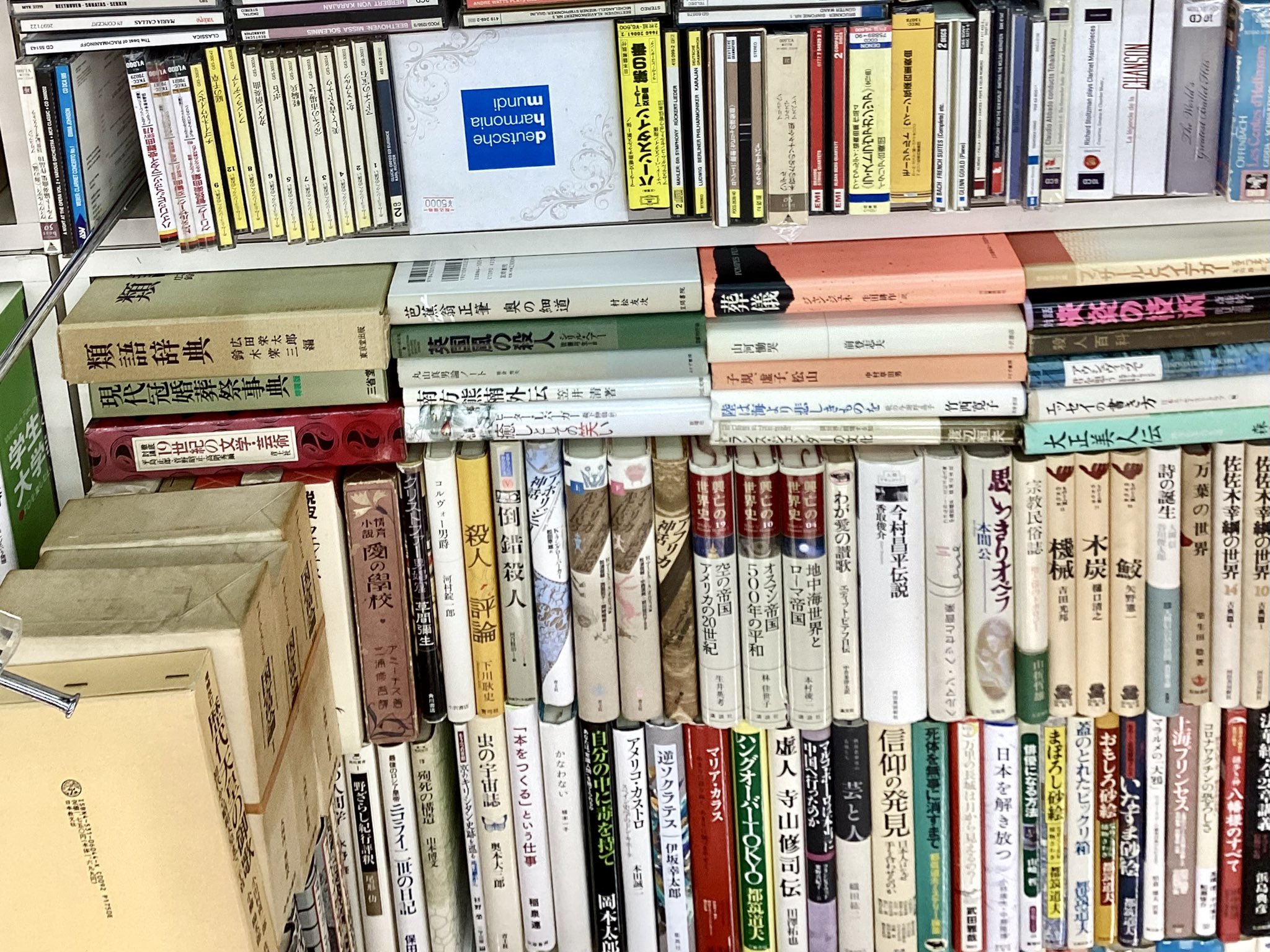 【中古】 牧場から見た強い馬/つちや書店/岩尾マニエル 中古】 牧場から見た強い馬/つちや書店/岩尾マニエル 中古