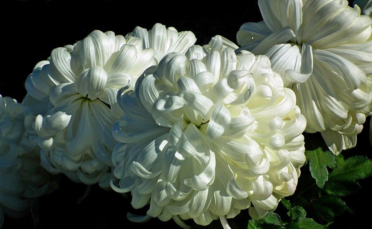 LUX_Lutetia's tweet image. Humanity seeks complex solutions to global discord, ignoring the #simplest rule: where your treasure is, there your heart will be. If you treasure economic supremacy over human harmony, your heart remains in conflict. What do you truly value? #Value #Discord #Simplicity