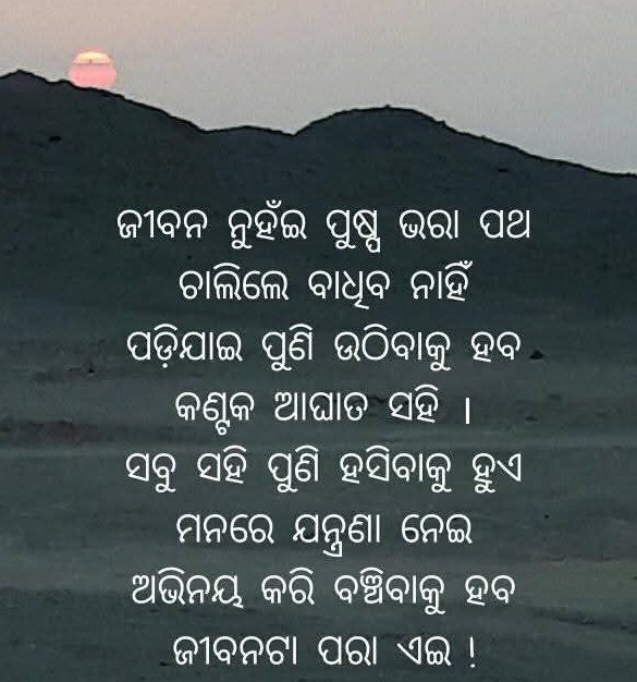 ମଣିଷ ବିଷୟରେ ପଦେ.....