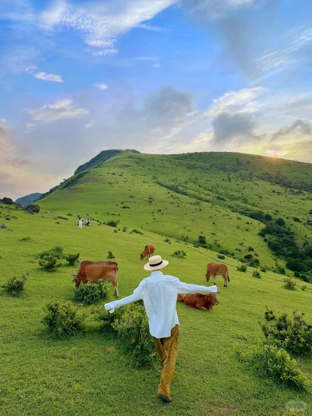 A lush, green field is the original metaverse. And it's open-source. #openseatouchgrass