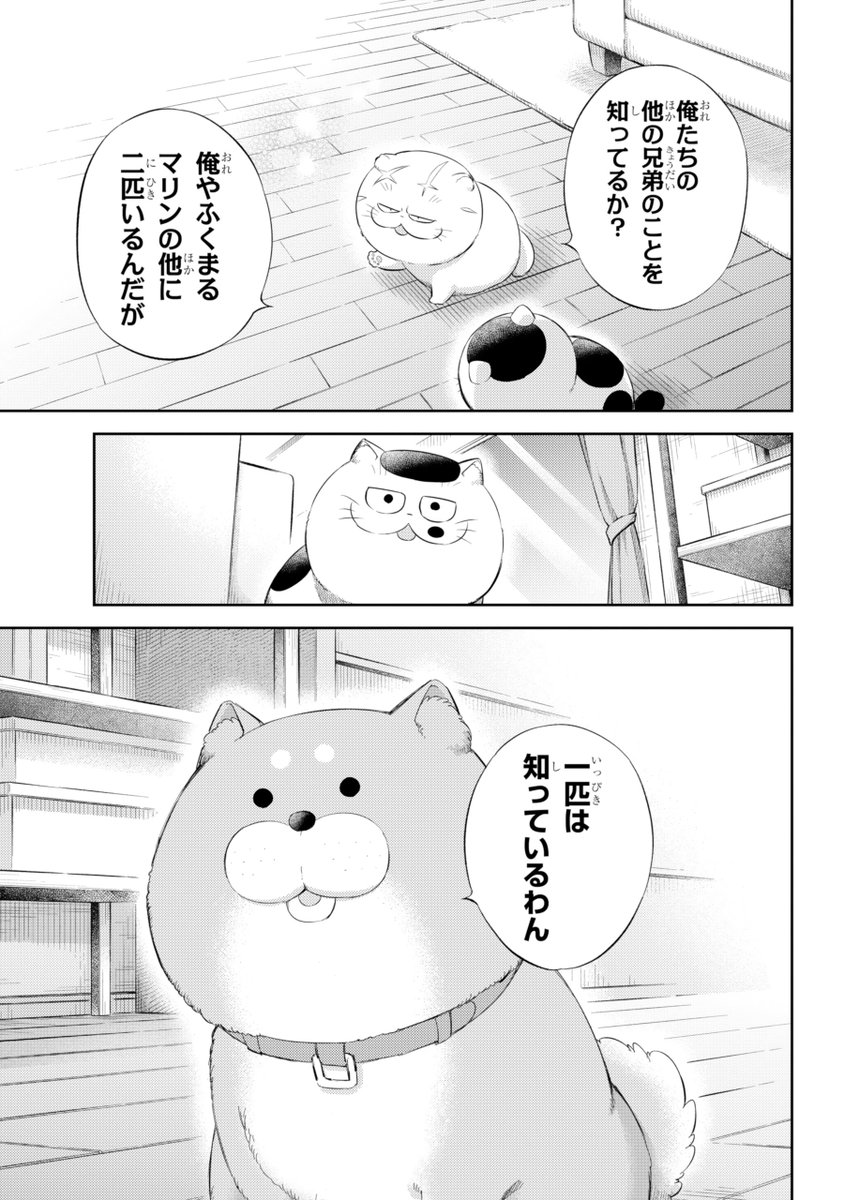 桜井海＠おじ猫16巻発売中！ tweet media