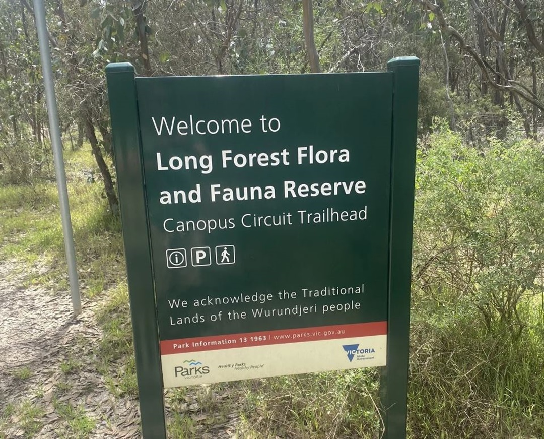 Entomological Society of Victoria 🐛🐜🦟🐞🕷️🦗 tweet media