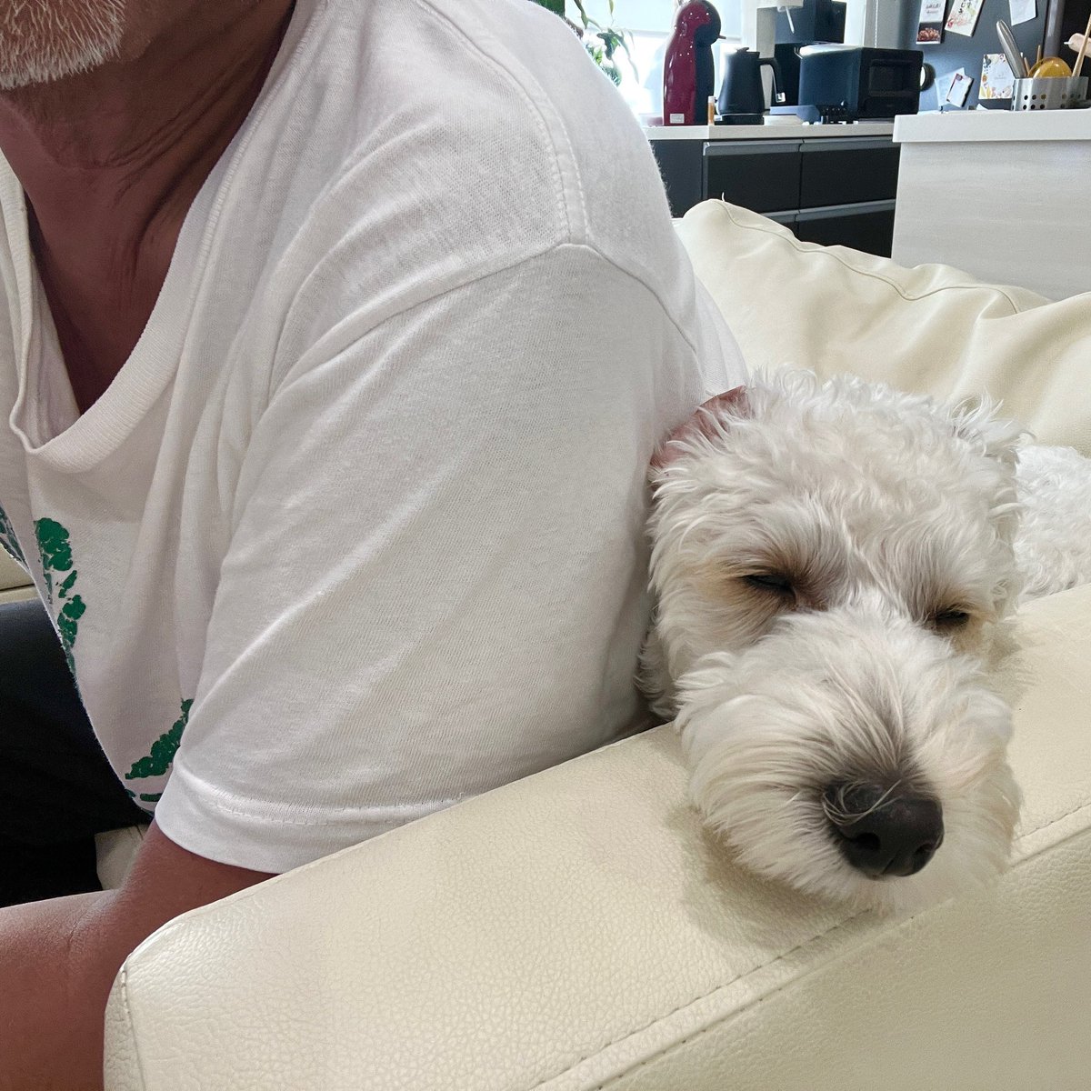 ハロー！パパの背中にくっ付いて…あぁ、落ち着くわぁー🐶w #djデイル