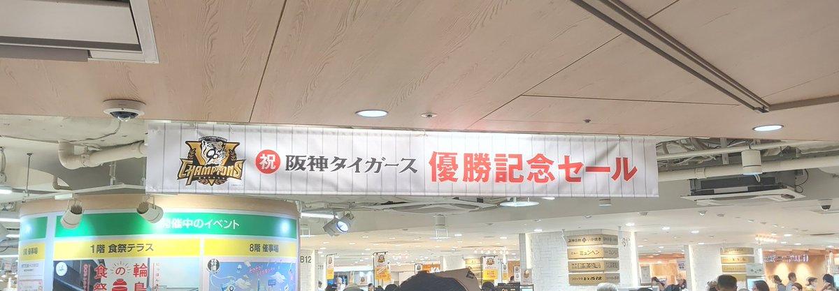 セーール！