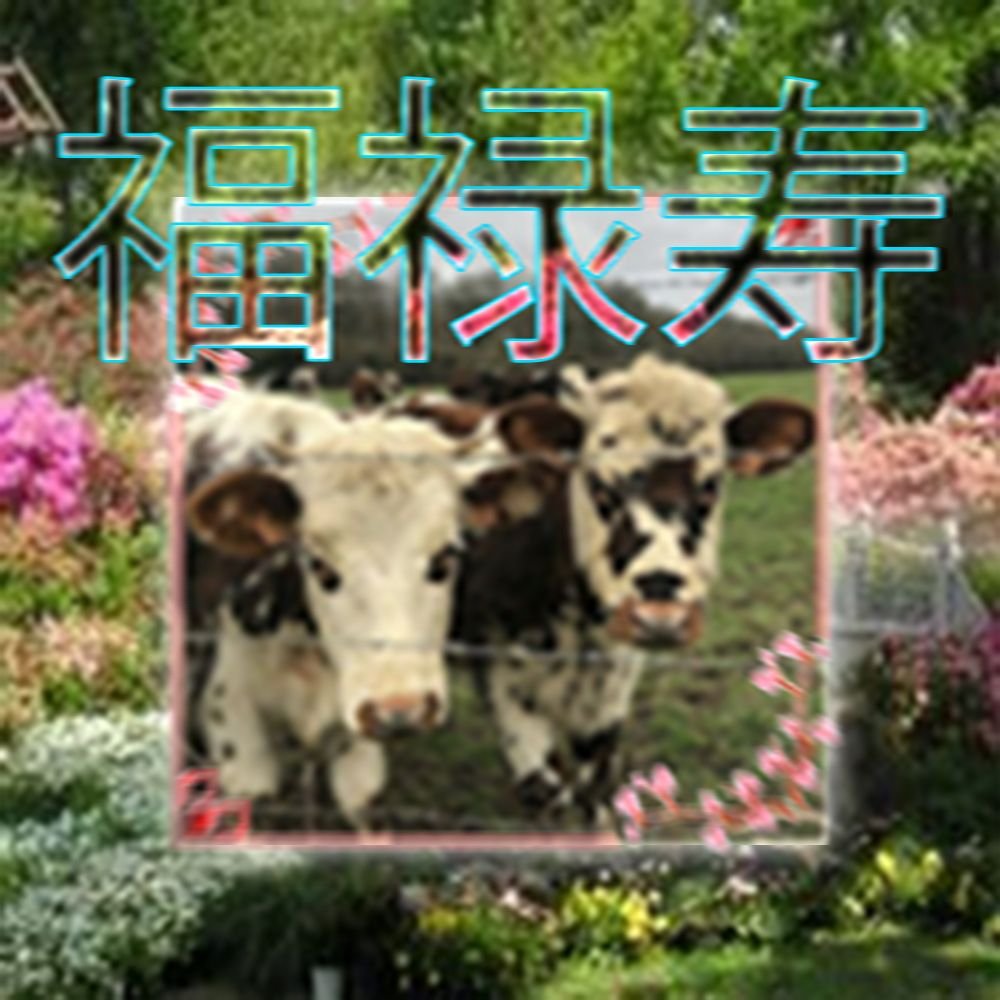 𝔇𝔦𝔫𝔤𝔲𝔰 𝔈𝔤𝔤 (@castingahex) on Twitter photo 