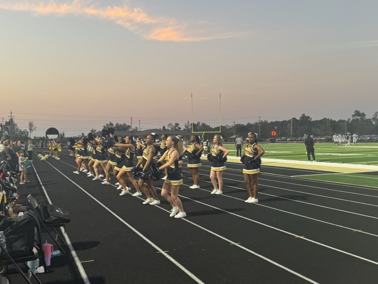 AHS Panthers vs Saltillo