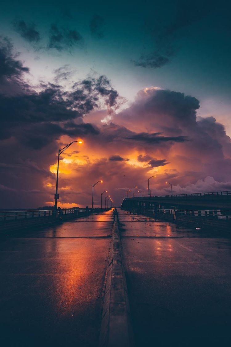 Aesthetics (@aestheticspost_) on Twitter photo 