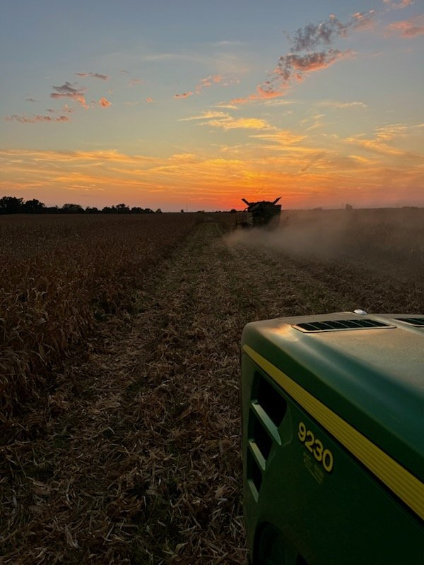 Had a good day in Golden Valley #Harvest2025