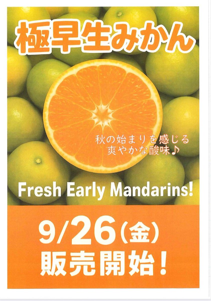 🍊みかんシーズン到来！🍊 #大三島 の #多々羅しまなみ公園 で9/26(金