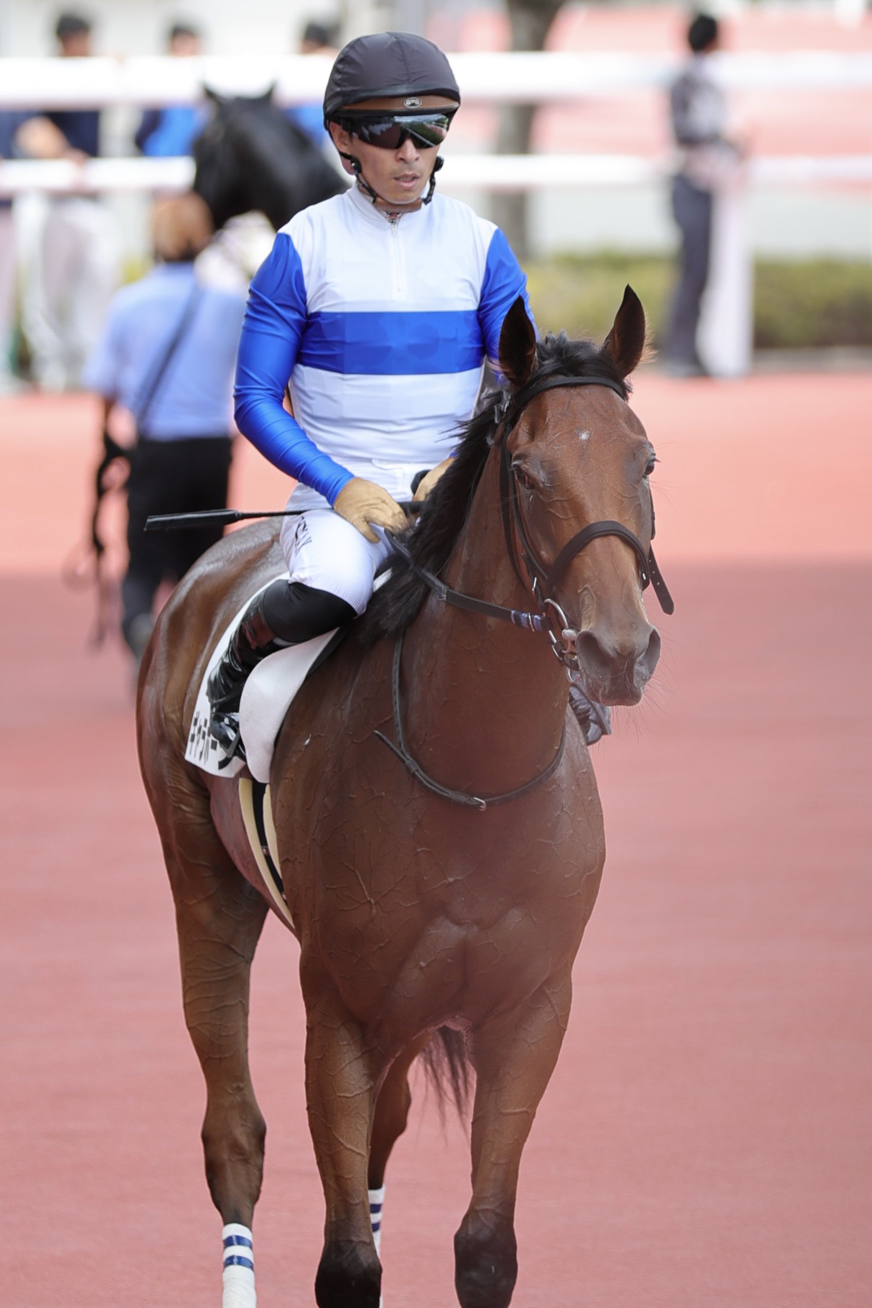 いぬころページ いぬころ (@inukoro_wanwan) / X