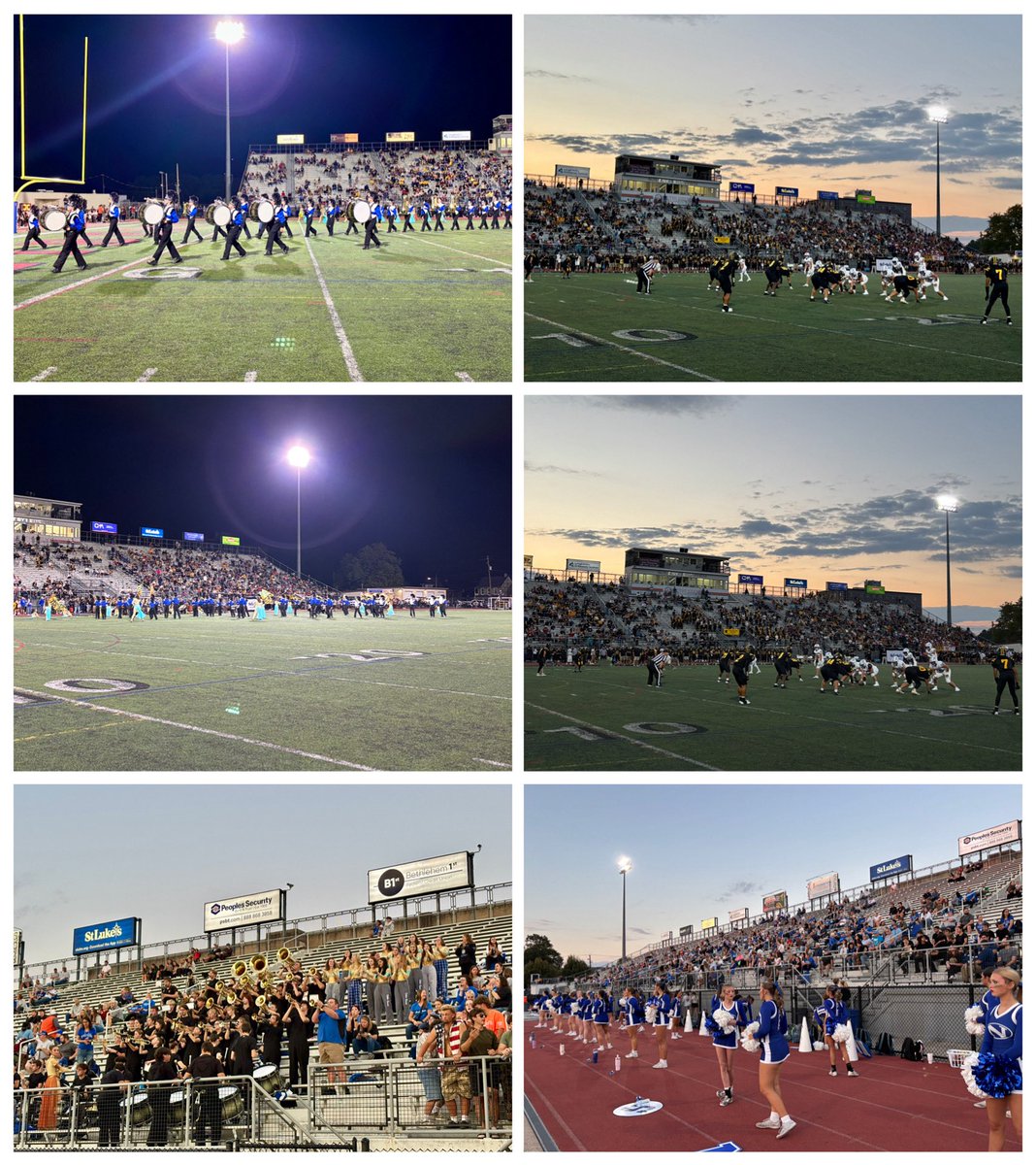 Isabel C. Resende, Ed. D. tweet media