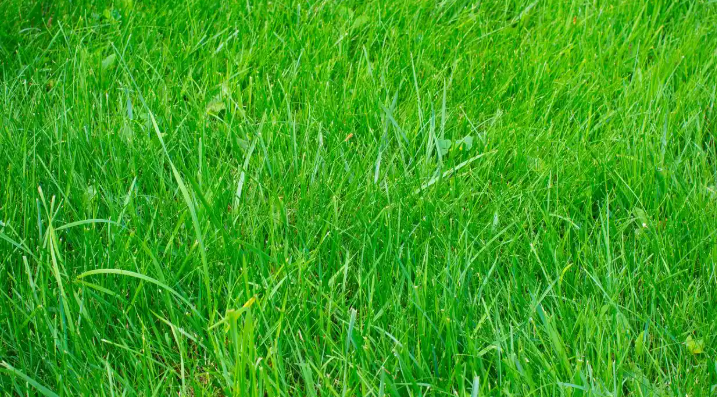 wait TGE <a href="/opensea/">OpenSea</a> LFG
#openseatouchgrass