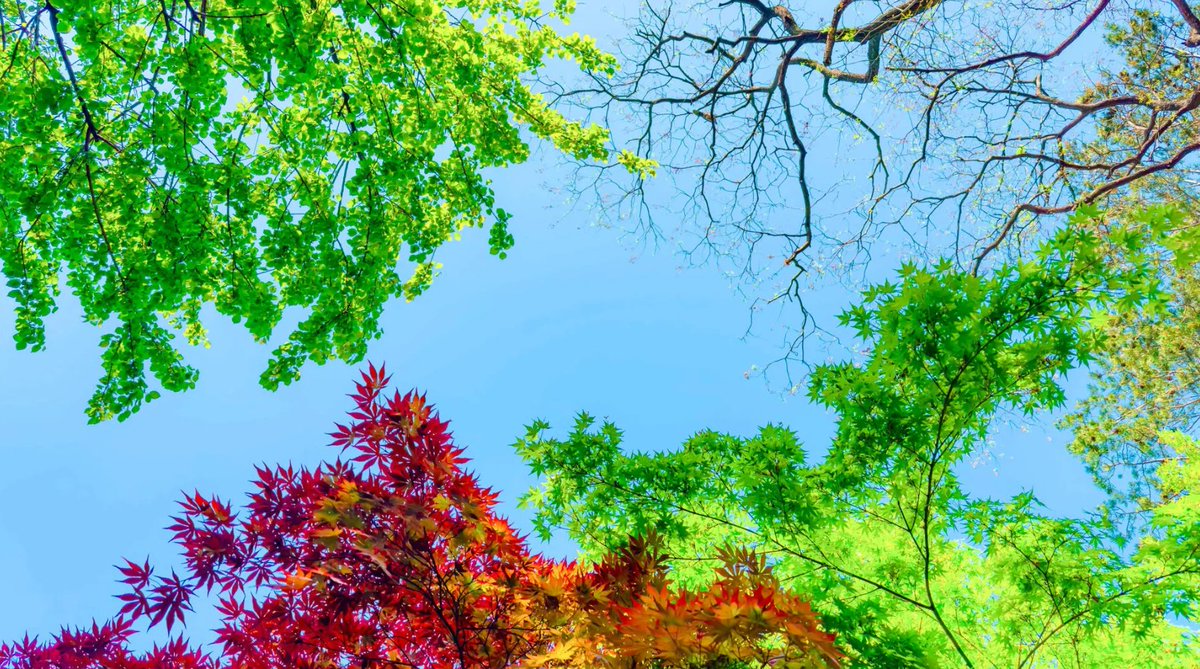 LWN_Track's tweet photo. 誰もが殻に覆われています。その殻が破れると、 その内側にあるものが露わになります。もしかしたら、繊細な芯かもしれませんし、 隠された秘密かもしれませんし、 ただの空虚な反響かもしれません。 しかし、一度破れたら、それと向き合わなければなりません！ #土曜はナるニす https://t.co/S4bLVOMRFD