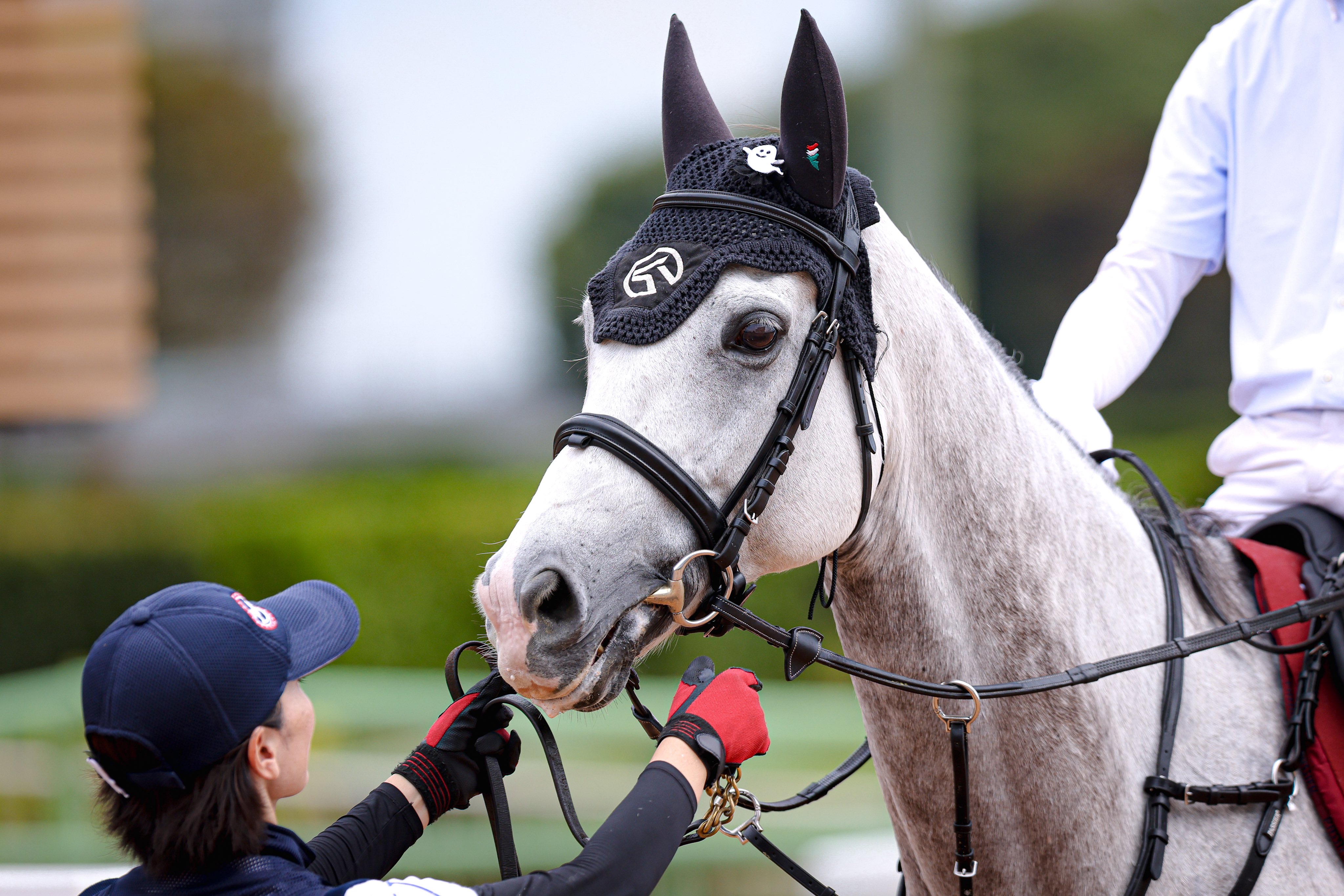 競馬「ここ」に騙されるな!—飛ぶ人気馬の謎・来る穴馬の秘密 競馬「ここ」に騙されるな!: 飛ぶ人気馬の謎来る穴馬の秘密 | 橋