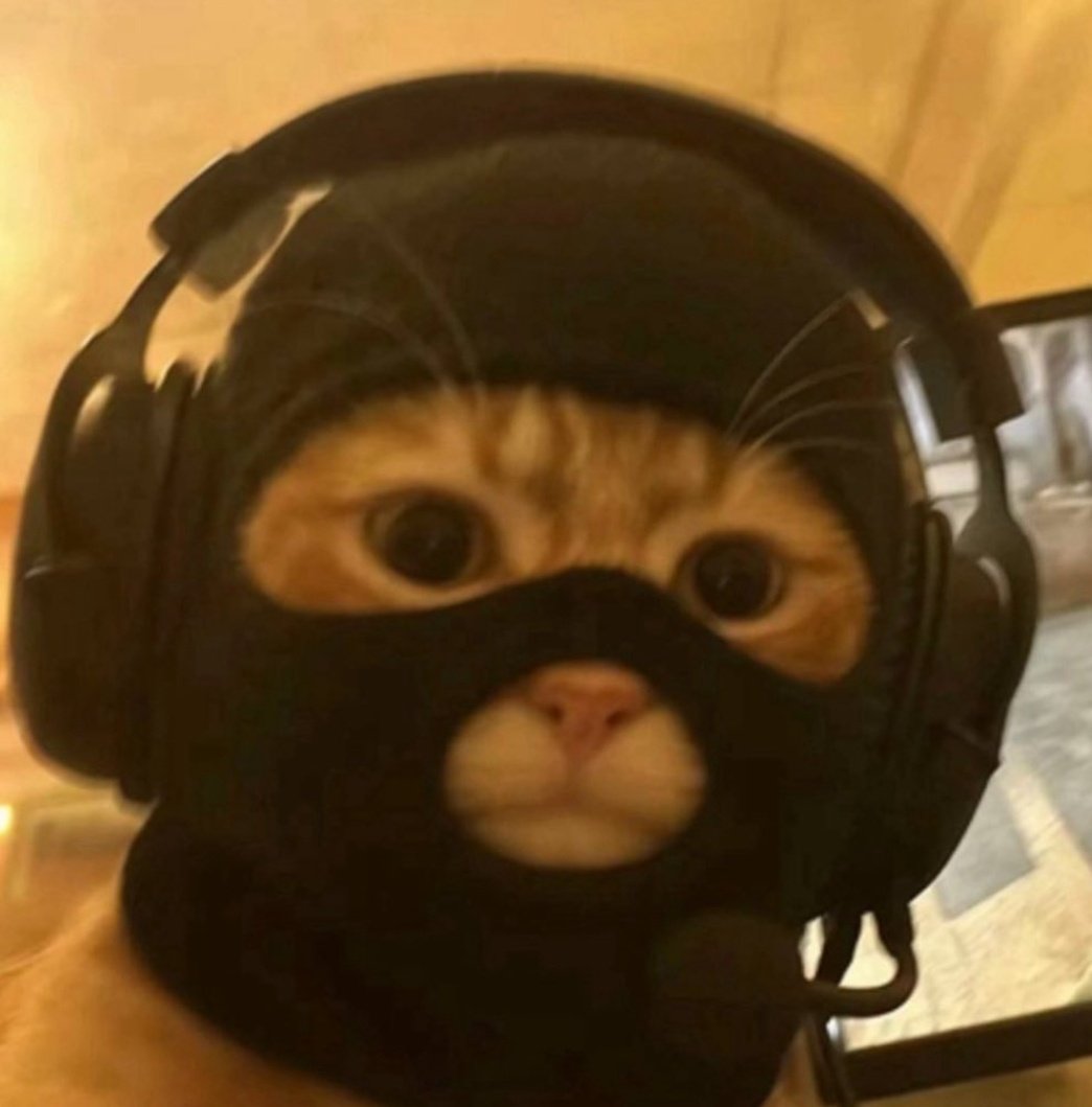 Have you ever seen a community as strong as $MASK fail? 

NO 

Get in before takeoff
