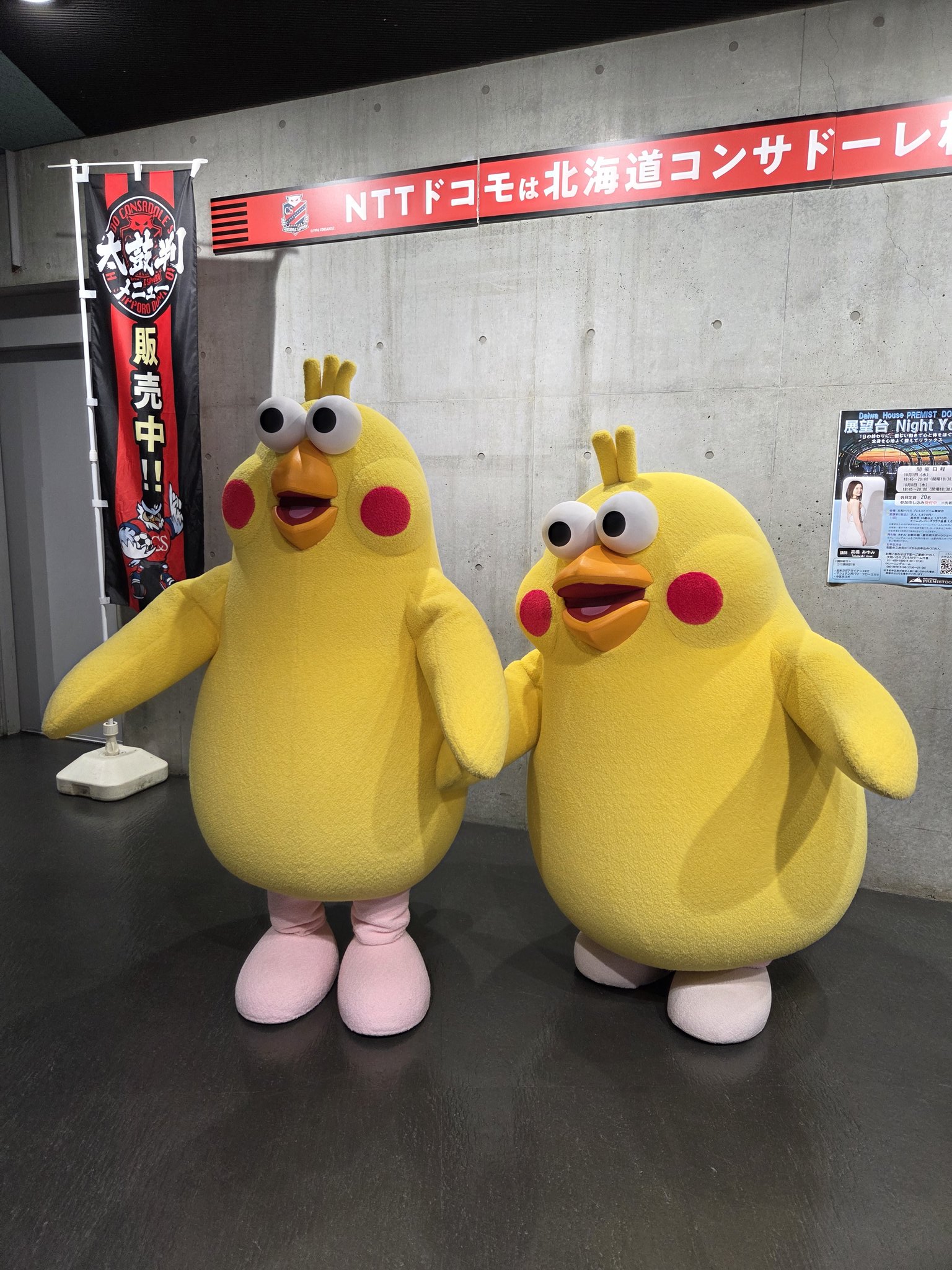 新品 当選品 非売品 ポインコ ぬいぐるみ dポイント 2体入り 非売品】d