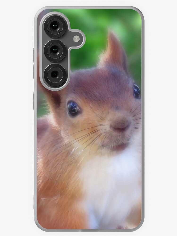 HurmerintaArt's tweet image. Cute squirrel photograph on phone cases. Choose Galaxy or iPhone. Many models to choose from.
A beautiful #giftidea.

#supportsmall #artistmade #uniquephonecase 
redbubble.com/i/samsung-case…