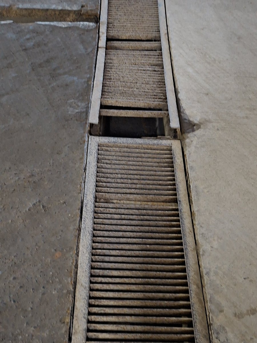 Speedbird tweet media