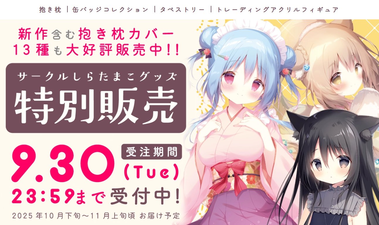 ♡しらたまFANBOX限定しろいいぬ枕カバー♡コミケタペストリーグッズしらたまこ しらたま❄️『星シロ』Switch版12/11発売🐈‍⬛🚂🌟 on X