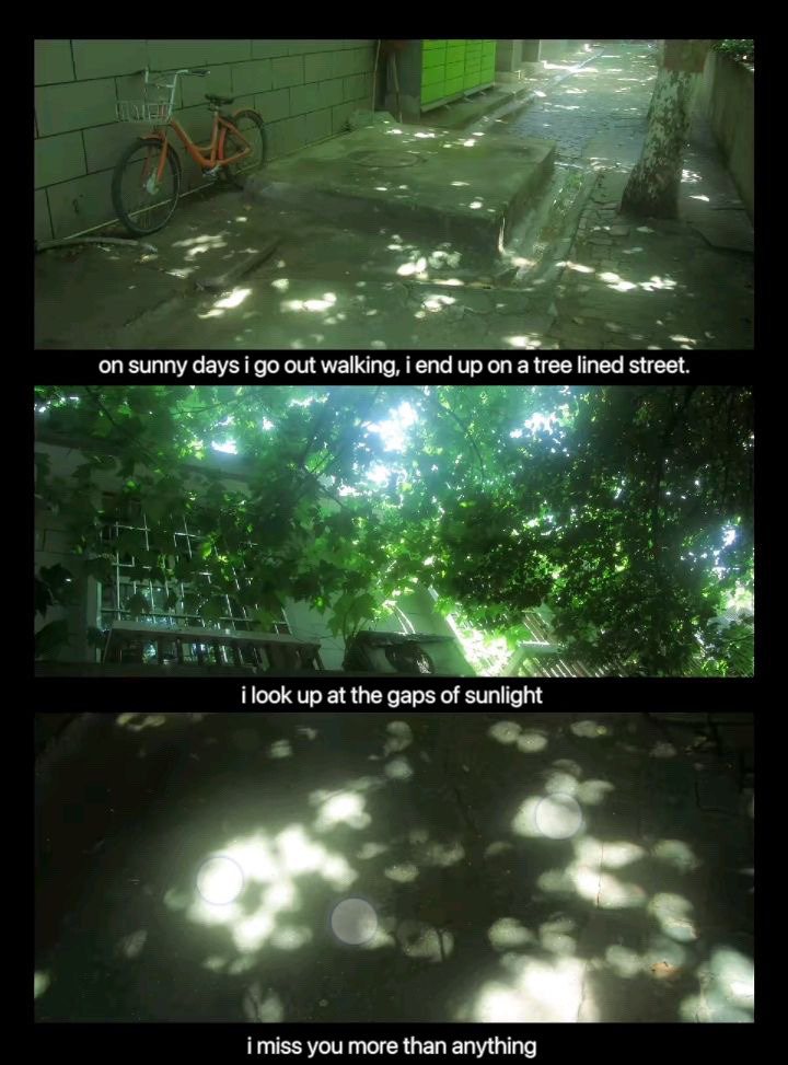 Synexdoche (@amor_fatti) on Twitter photo 