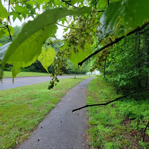 Lucy618x's tweet image. Morning drizzle, fresh air, and the sound of footsteps on wet pavement. The city still sleeps. 📷📷
#DrizzlyMorningRun
#RunningInTheRain