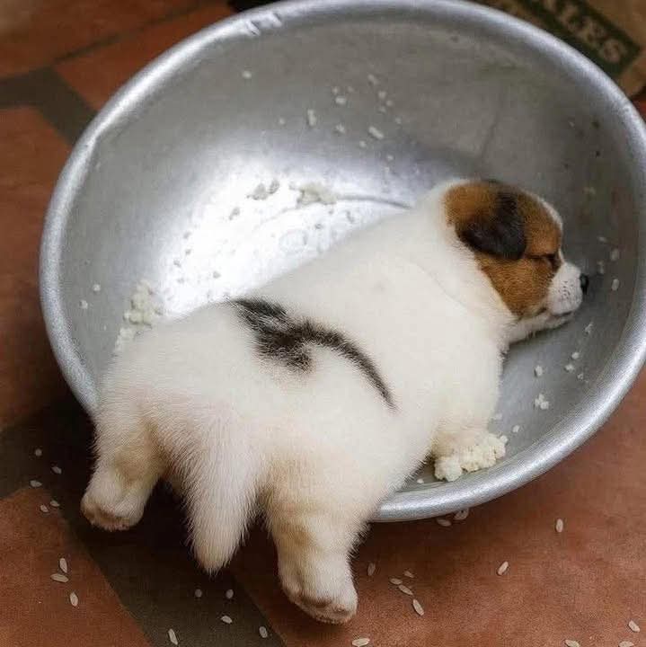 Chúc khỏe mạnh, chúc bình an.
Chúc may mắn, chúc giàu sang.
Chúc hạnh phúc, chúc hanh thông.
Chúc vui vẻ, chúc trẻ trung.
...
...
...
Chúc mua may, chúc bán đắt
Chúc nhiều view, chúc tỷ view...
Giao lưu cùng Dược Thanh | Tahmina, thả tim và góp ý cho bài dự thi Lớp