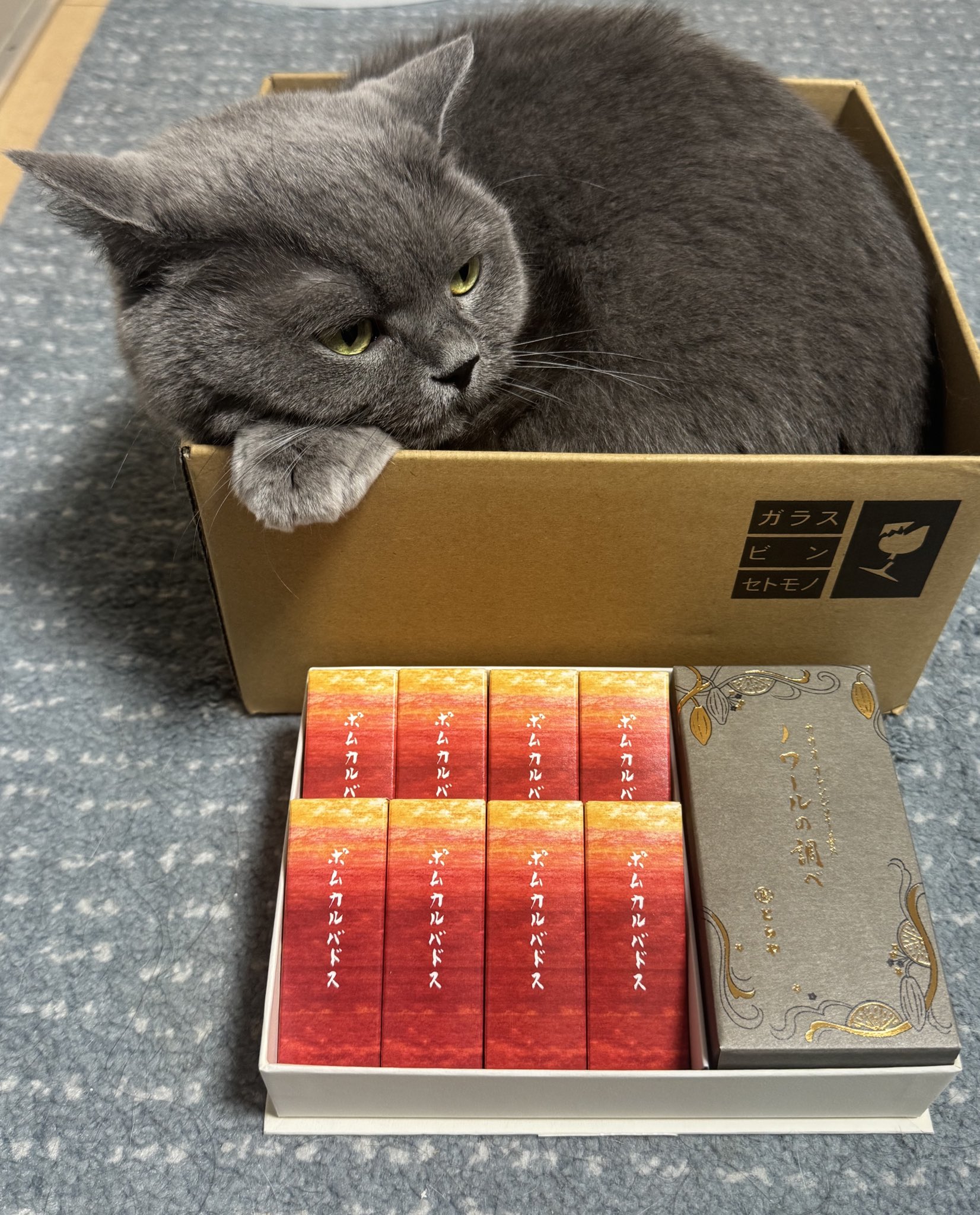 おはぎ (@ohagi_zzz) / X