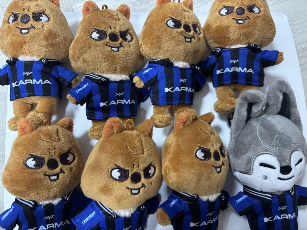 dy_py_'s tweet photo. skzoo盤で死ぬほどハンクオッカ🐿️を引きました
神様仏様女神様
お願いですこのクオッカを
🐰リービット
🐥ポガリ
🐶パピーム
🦊フォクシニー
に交換してくれませんか…

共同分なのです…
大阪手渡しor郵送交換
本当にお願いします🙇‍♀️ https://t.co/8A918nDowo