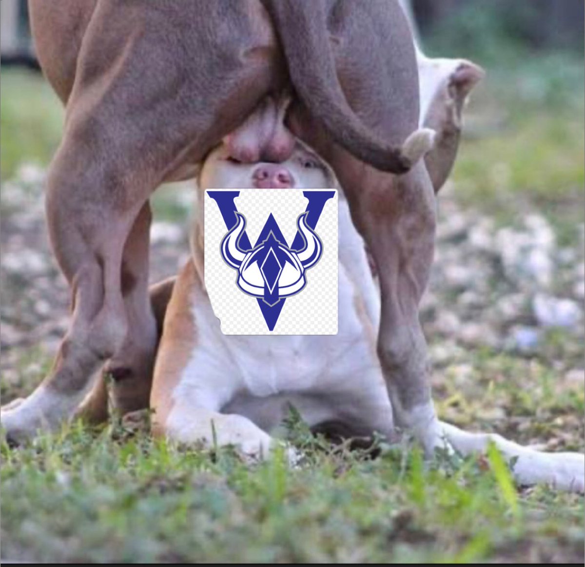 Labette Barstool tweet media