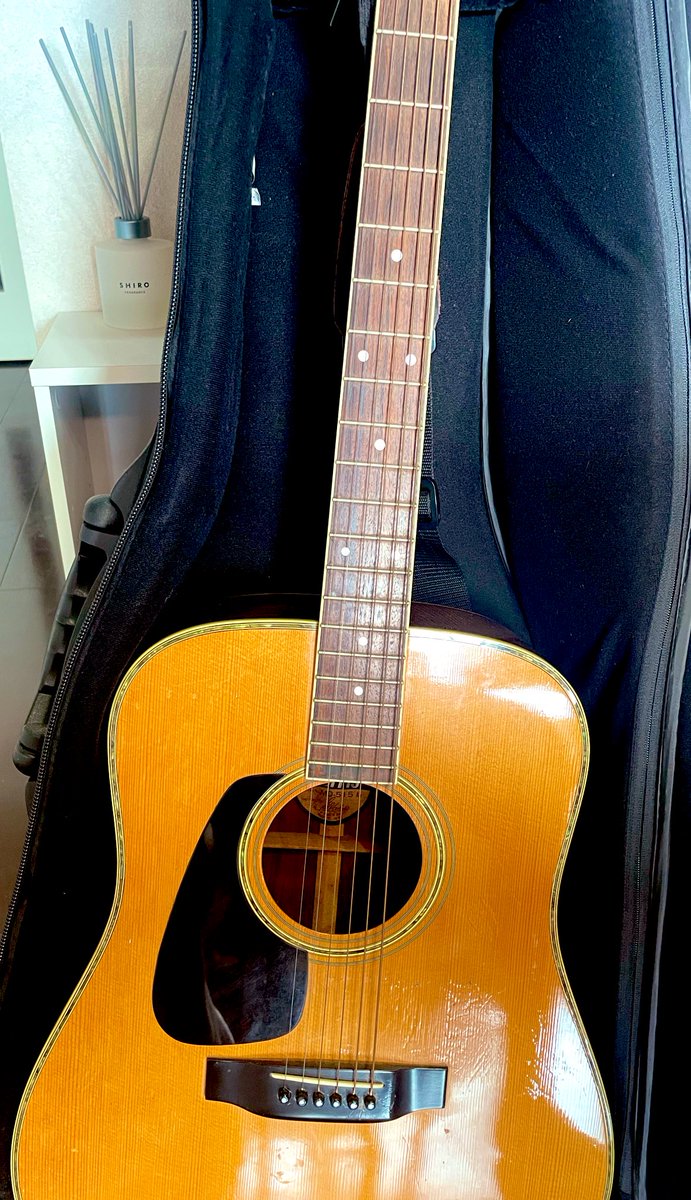 開封🎸
チューニング合うのか…🤔