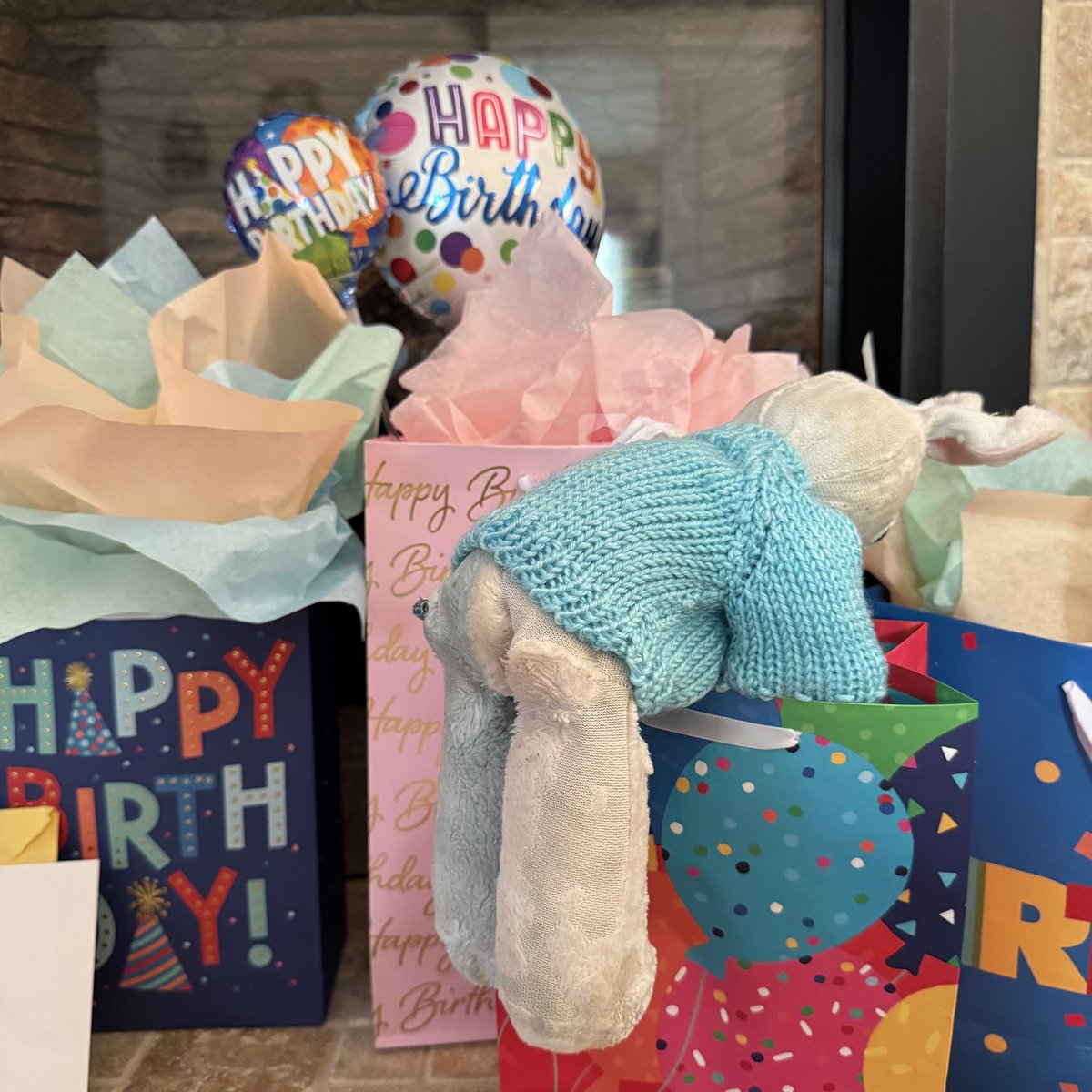 Bunny & Shellie tweet media