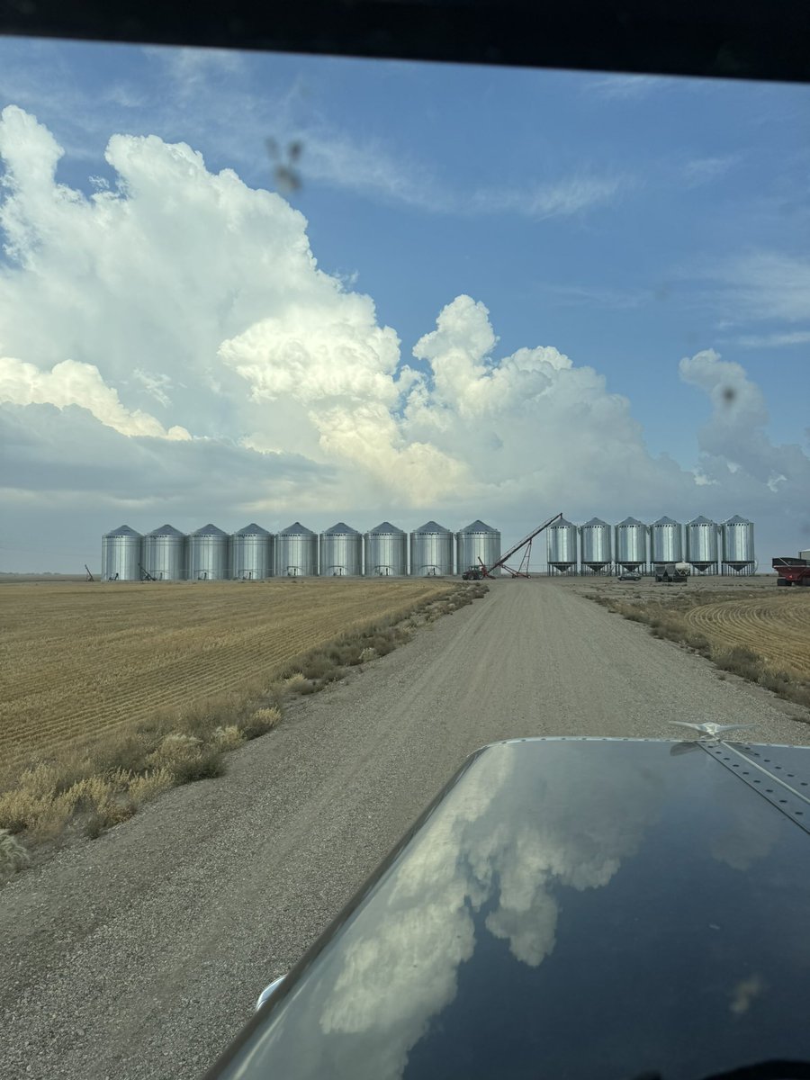 Mike Ector tweet media