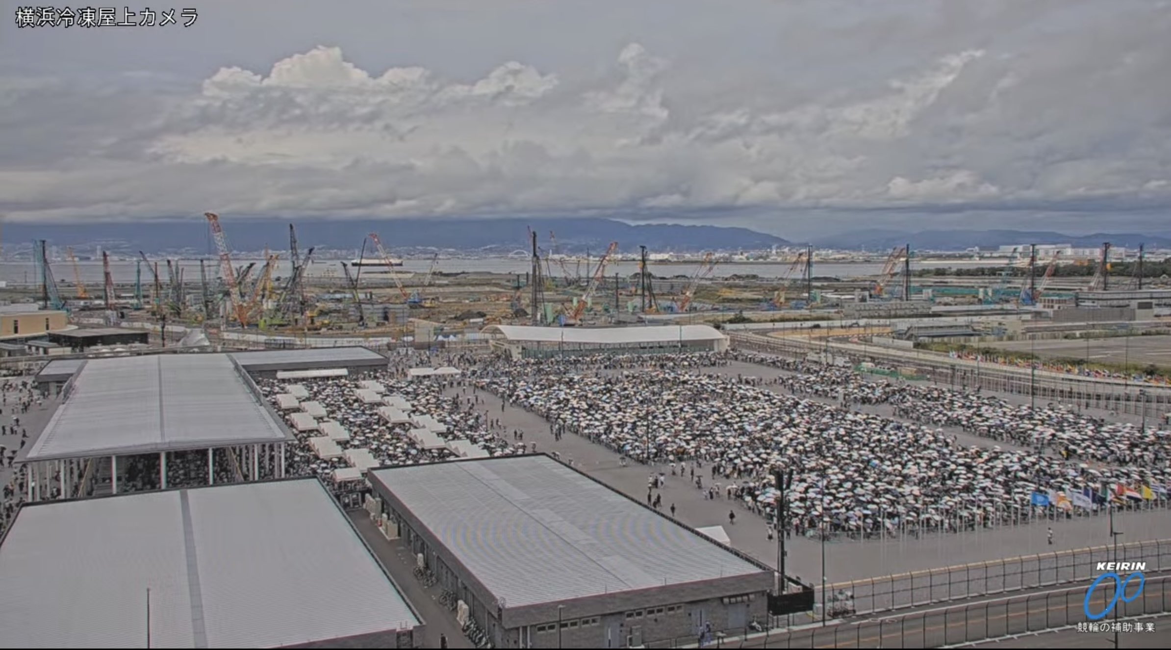 A*y様 希少⭐️GO!GO!セール開催⭐️ディズニー35周年!セレブレーション 新作】2023年10月1日より、ディズニーシンデレラ 2024年限定