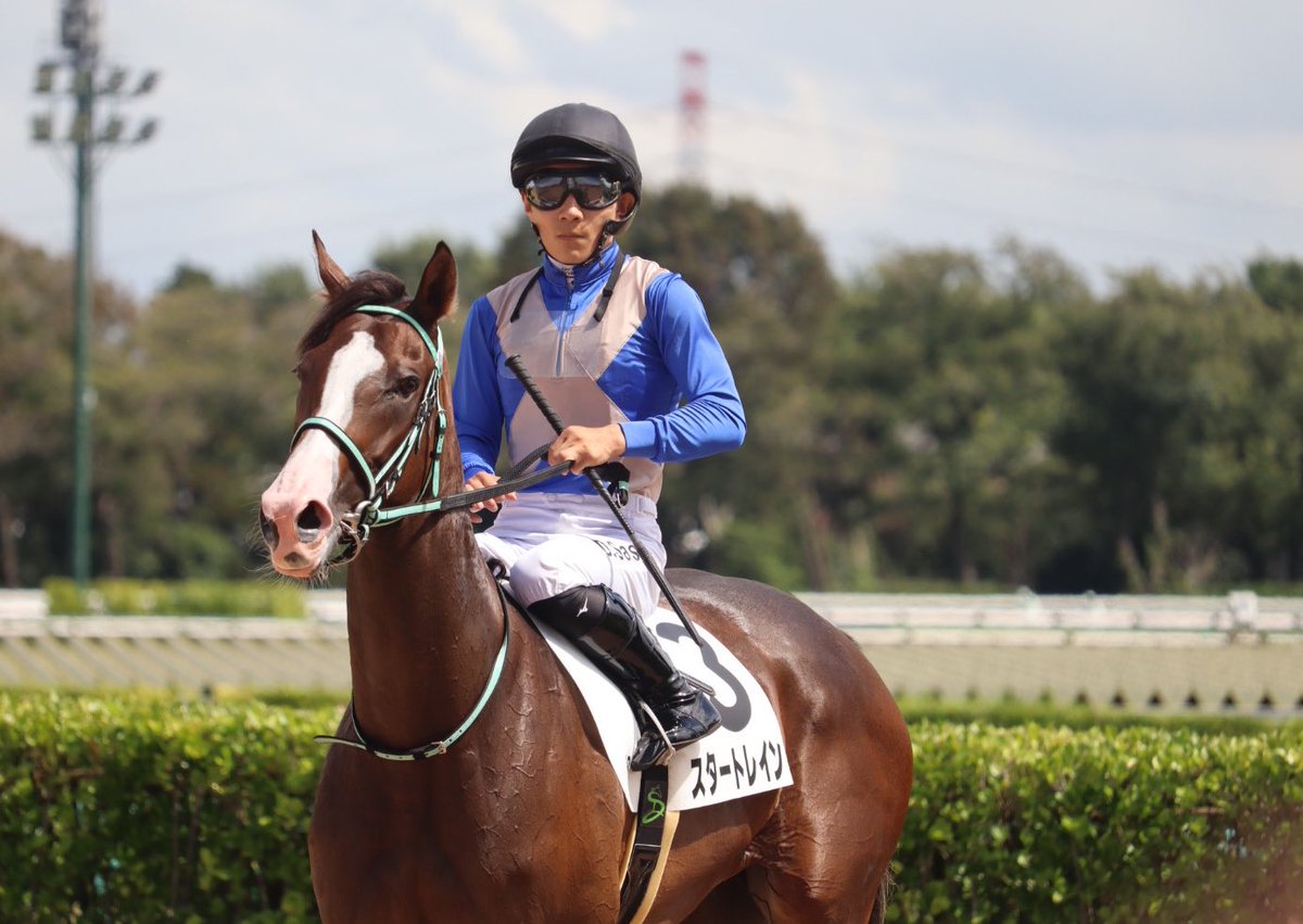 2178❣️ 瑪瑙　馬　唐馬　戦闘馬 2178❣️ 瑪瑙 馬 唐馬 戦闘馬 Winning Horse Club