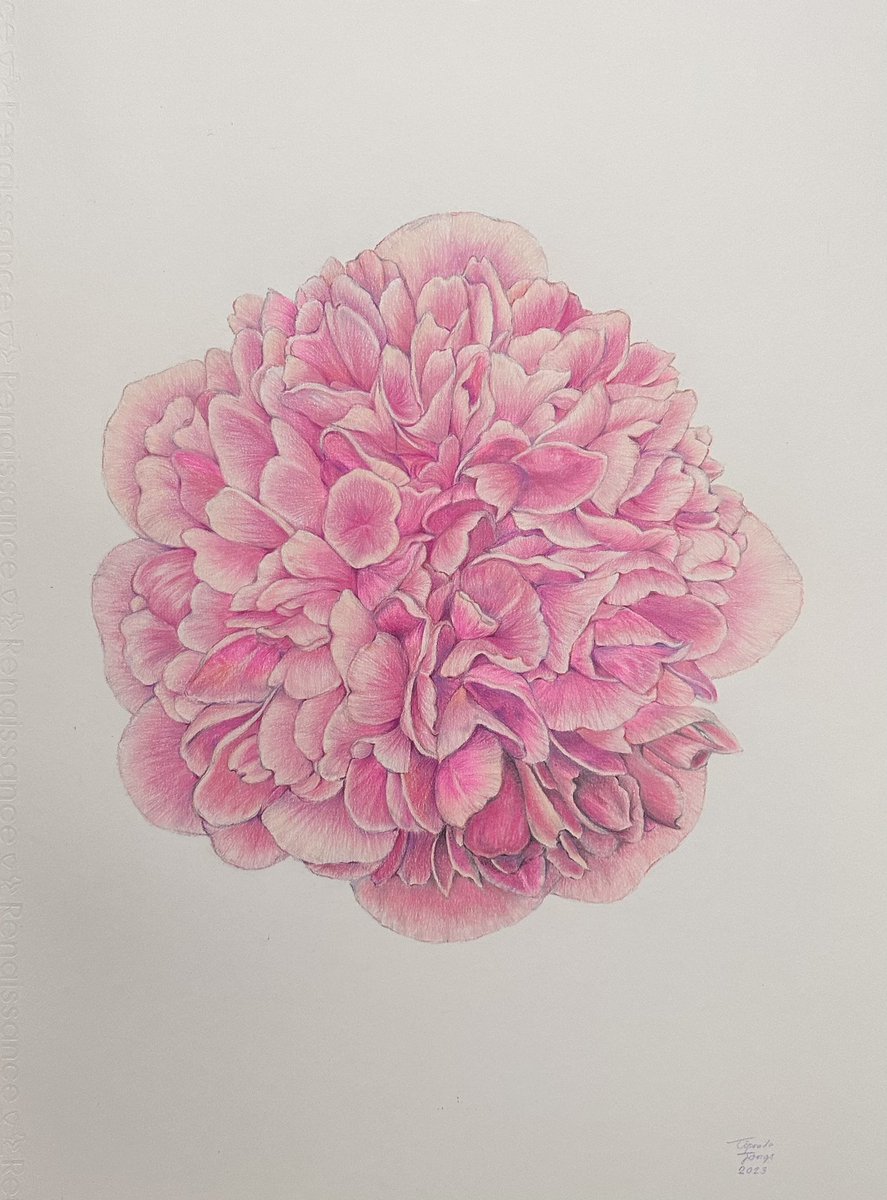 Chunnie ♡✨ tweet media